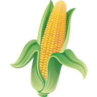 Logo Iowa Corn Opportunities LLC