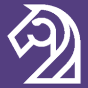Logo Rovin Capital LLC