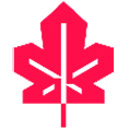 Logo Red Leaf Pulp Ltd.