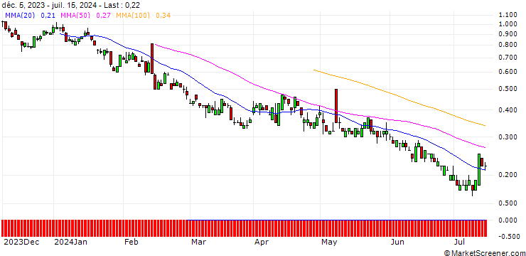 Chart SG/PUT/AIRBNB A/110/0.1/20.12.24